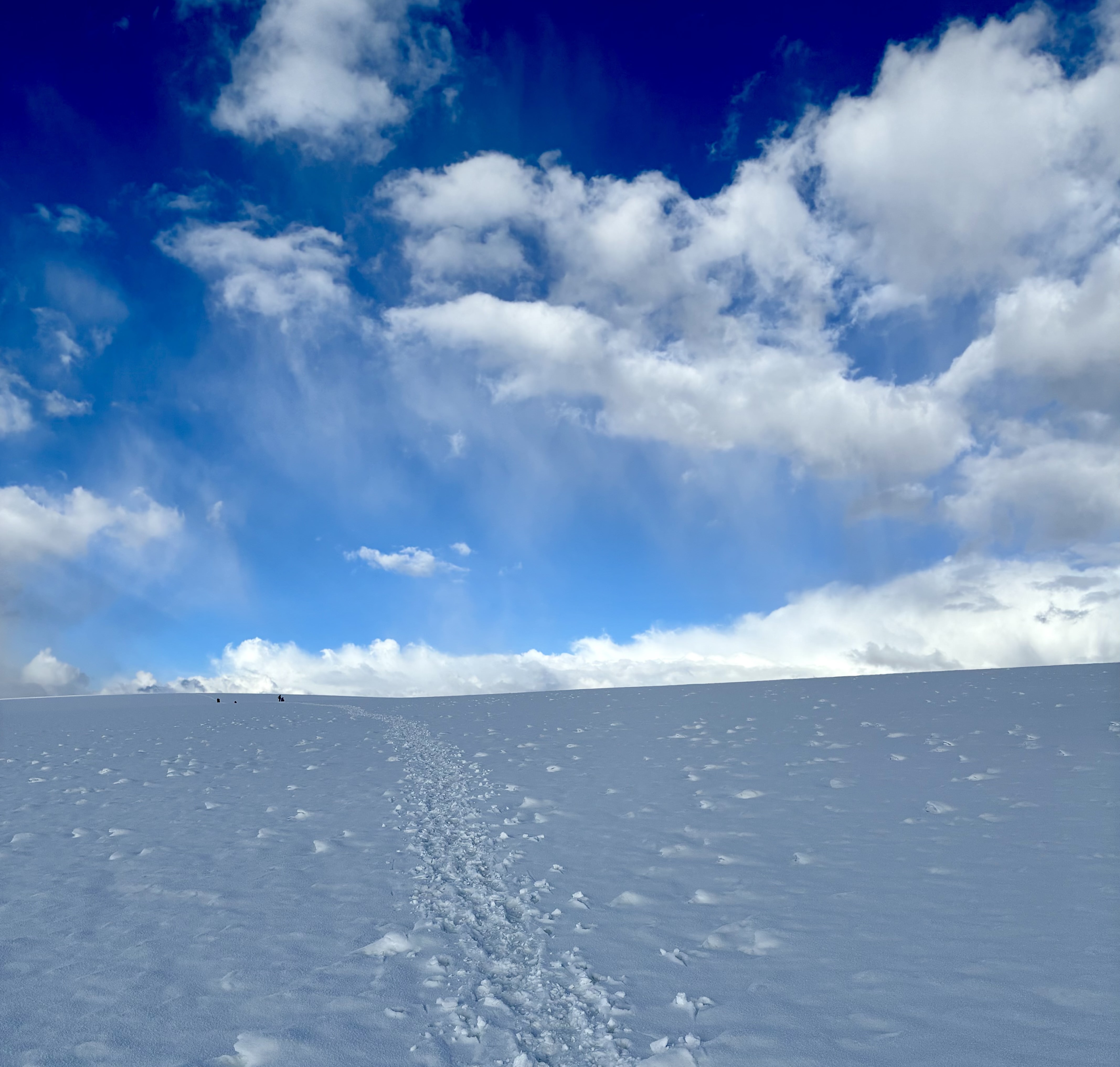 Ascending the Quelccaya Ice Cap